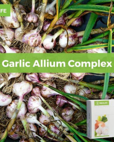 Garlic Allium Complex